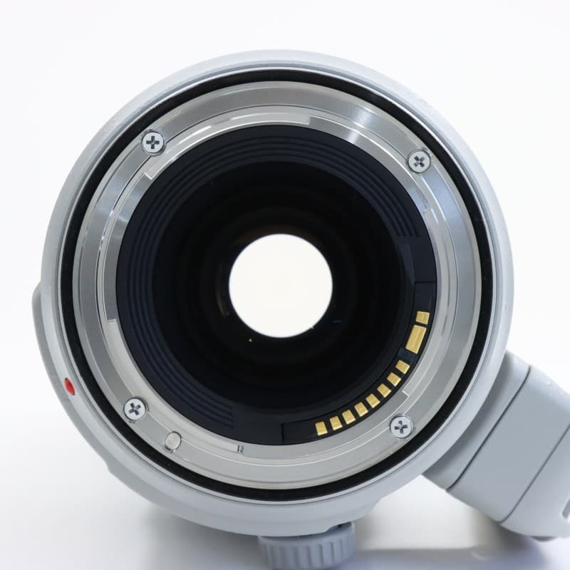 EF100-400mm F4.5-5.6L IS II USM
