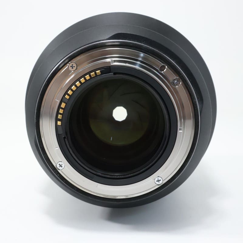 RF85mm F1.2 L USM DS