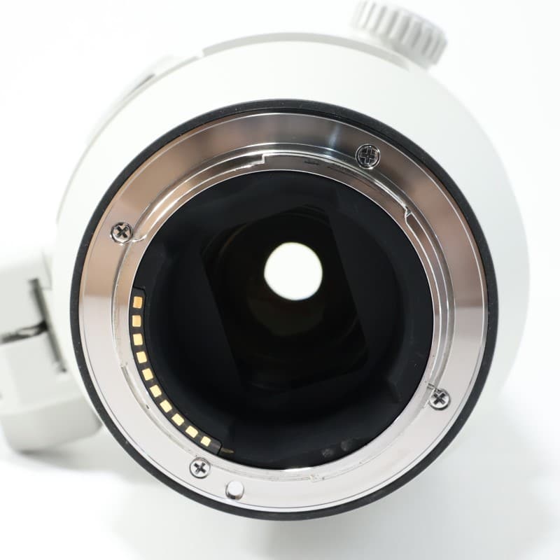 FE 200-600mm F5.6-6.3 G OSS SEL200600G