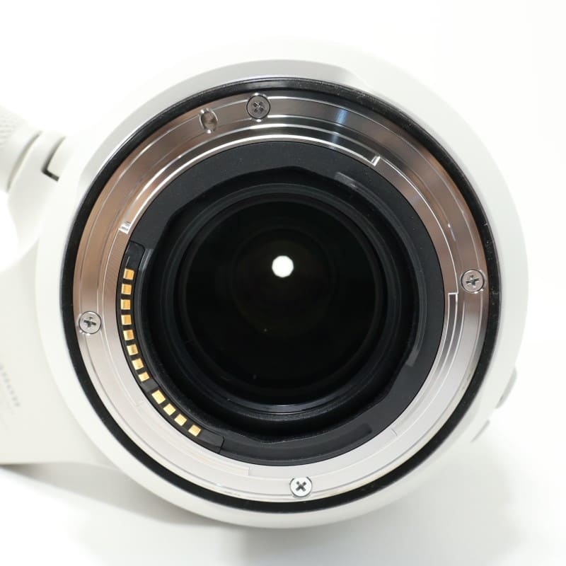RF100-500mm F4.5-7.1 L IS USM
