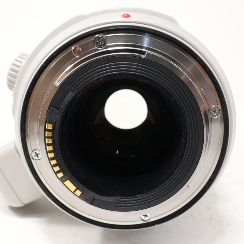 EF100-400mm F4.5-5.6L IS II USM