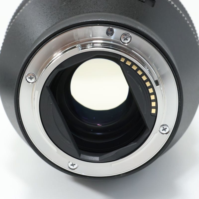 FE 28-70mm F2 GM SEL2870GM