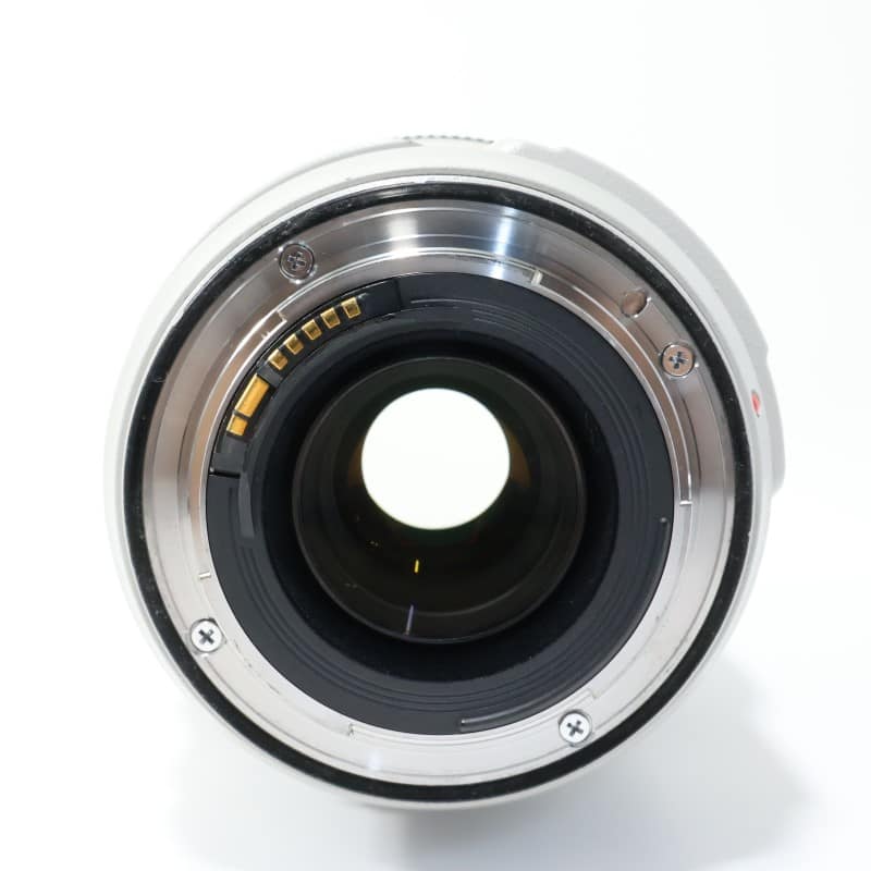 EF 70-300mm F4-5.6 L IS USM