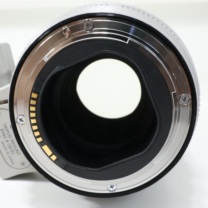 EF70-200mm F2.8L IS III USM