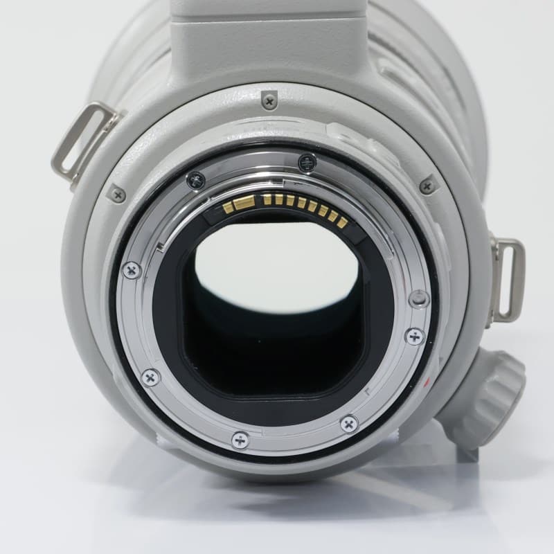 EF300mm F2.8L IS II USM