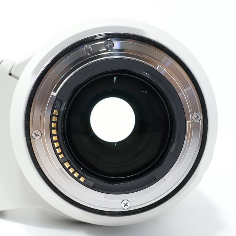 RF70-200mm F2.8 L IS USM