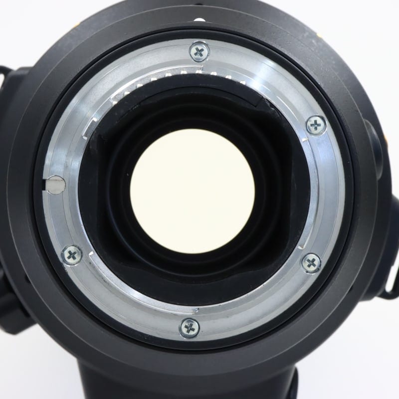 AF-S NIKKOR 120-300mm f/2.8E FL ED SR VR