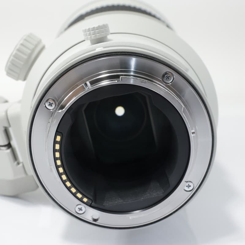 FE 300mm F2.8 GM OSS SEL300F28GM