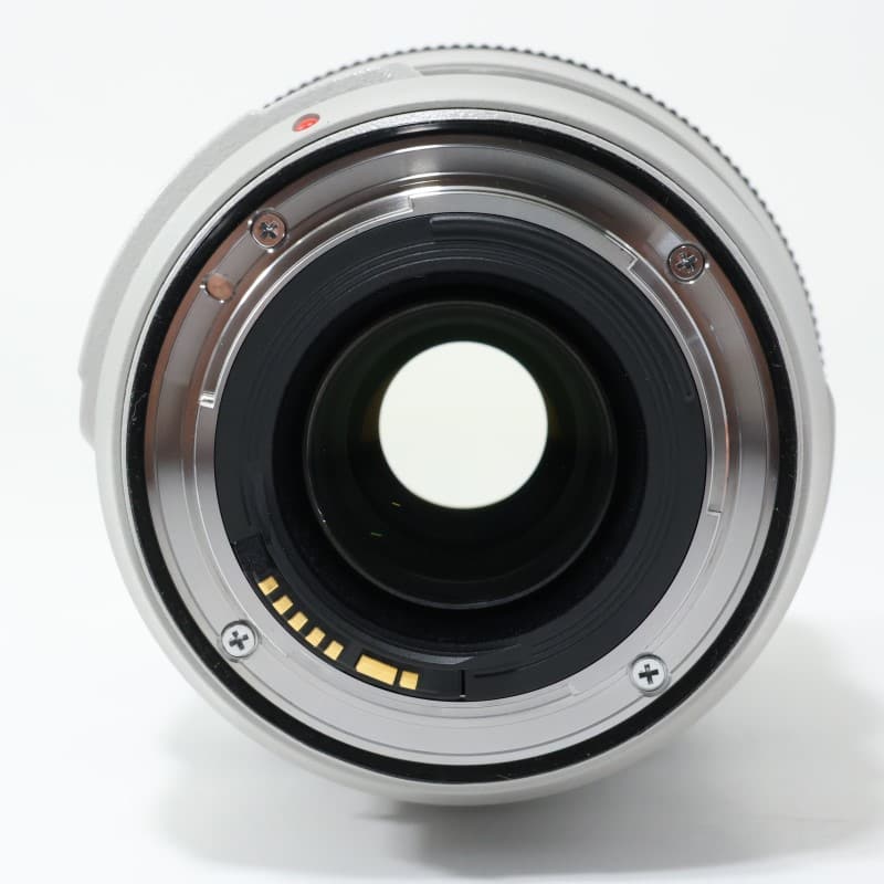EF 70-300mm F4-5.6 L IS USM