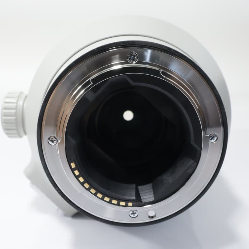 FE 100-400mm F4.5-5.6 GM OSS SEL100400GM