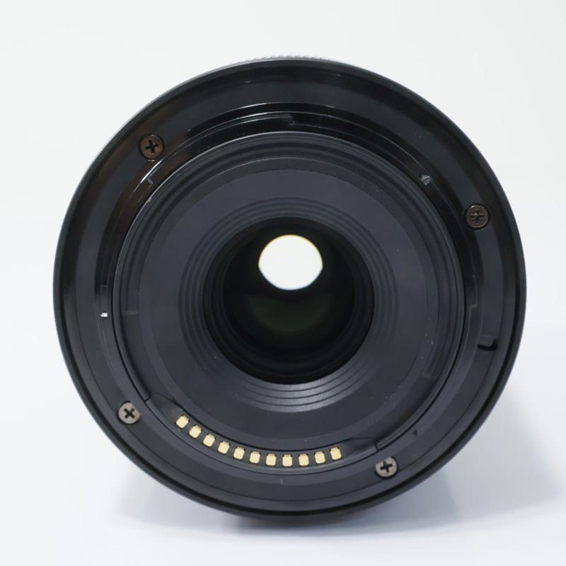 NIKKOR Z DX 50-250mm f/4.5-6.3 VR