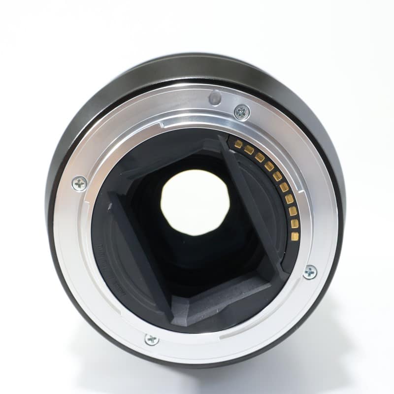 FE 90mm F2.8 Macro G OSS SEL90M28G