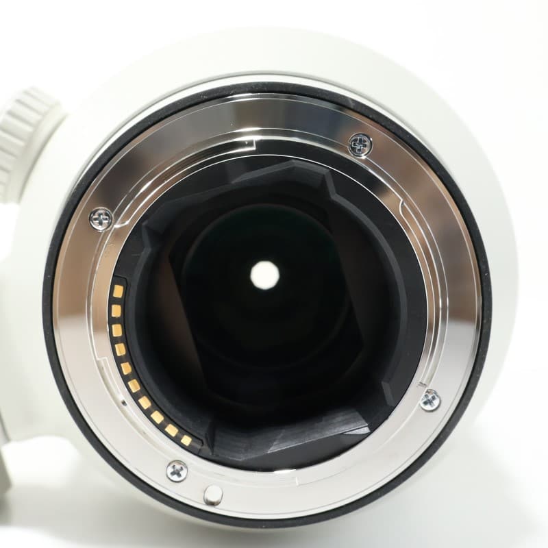 FE 100-400mm F4.5-5.6 GM OSS SEL100400GM