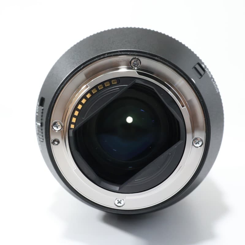 FE 28-70mm F2 GM SEL2870GM