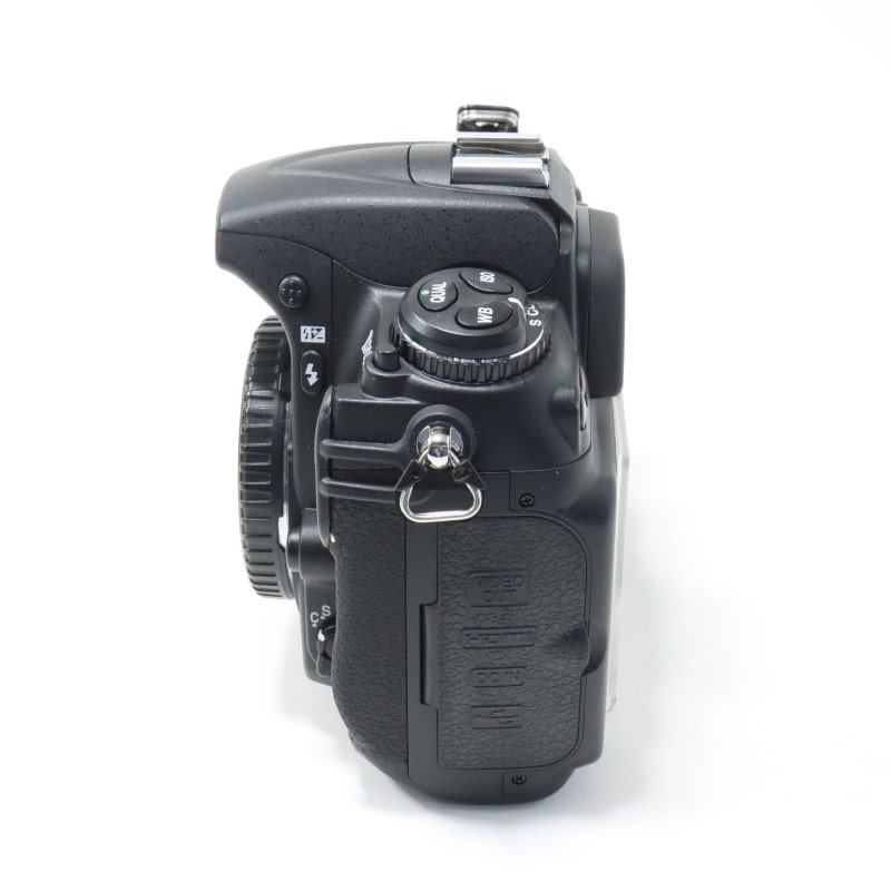 D300