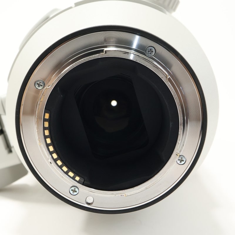 FE 200-600mm F5.6-6.3 G OSS SEL200600G