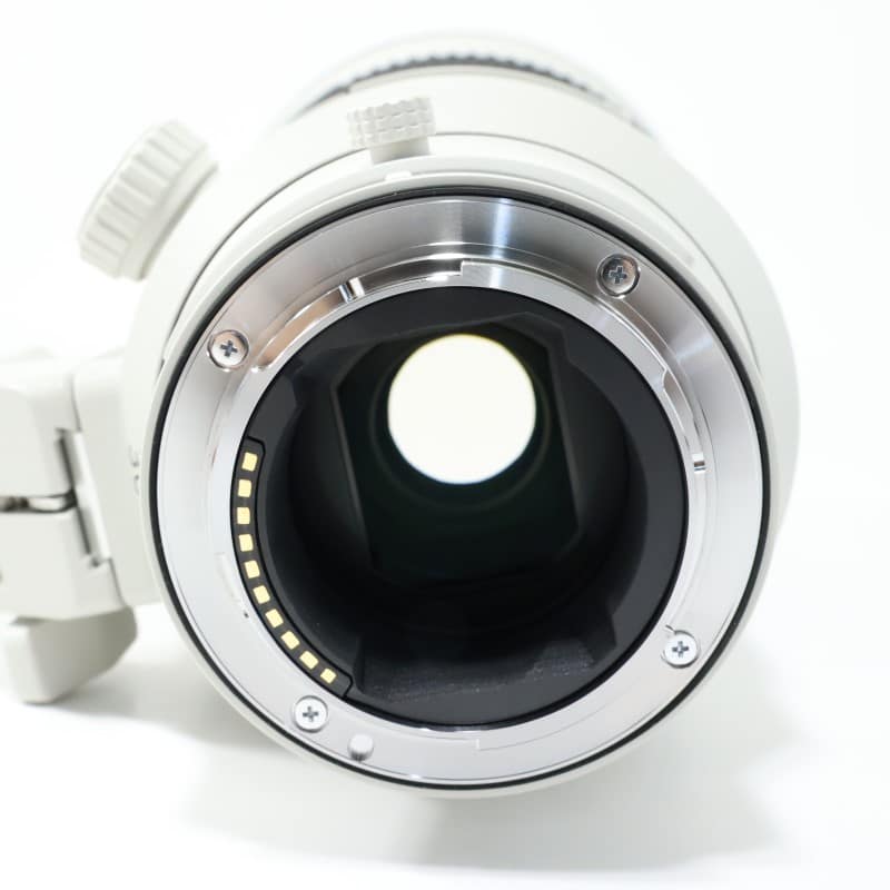 FE 300mm F2.8 GM OSS SEL300F28GM
