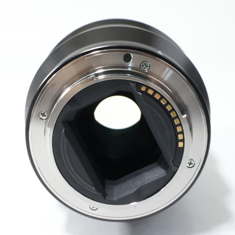 FE 90mm F2.8 Macro G OSS SEL90M28G