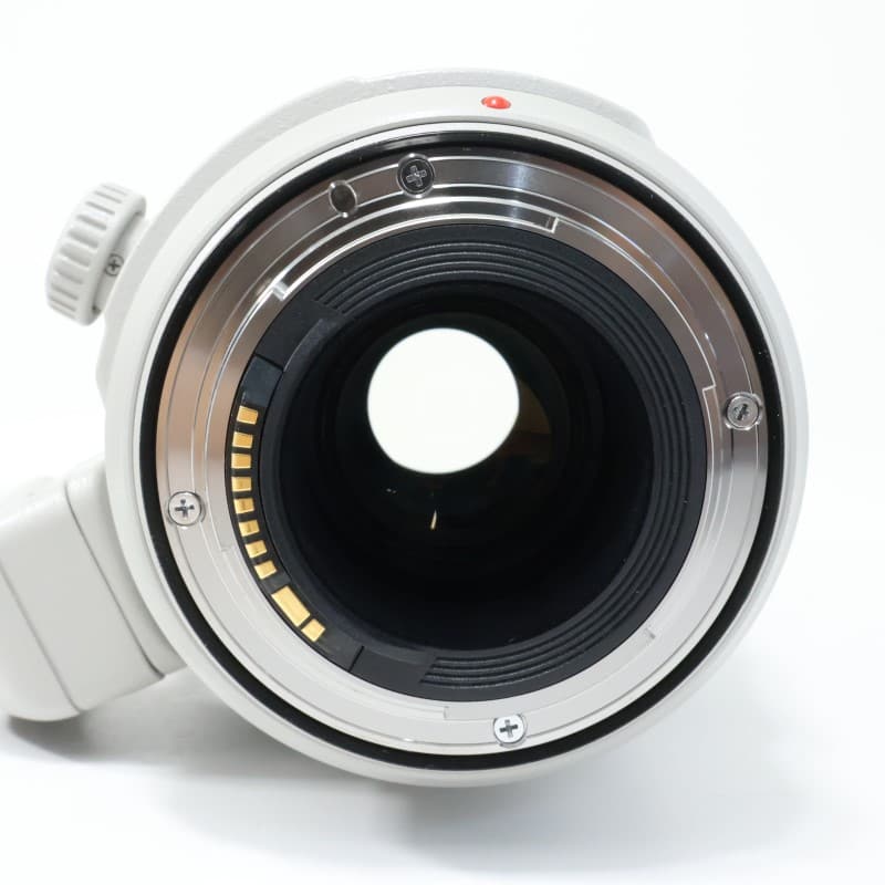 EF100-400mm F4.5-5.6L IS II USM