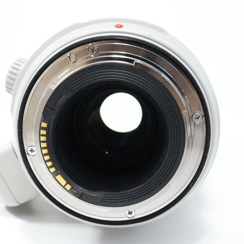 EF100-400mm F4.5-5.6L IS II USM