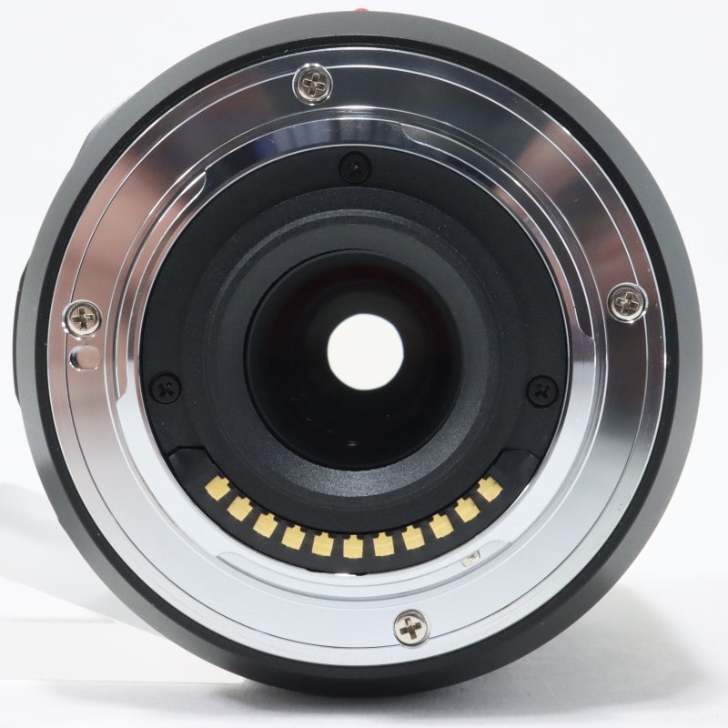 LEICA DG MACRO-ELMARIT 45mm/F2.8 ASPH./MEGA O.I.S H-ES045