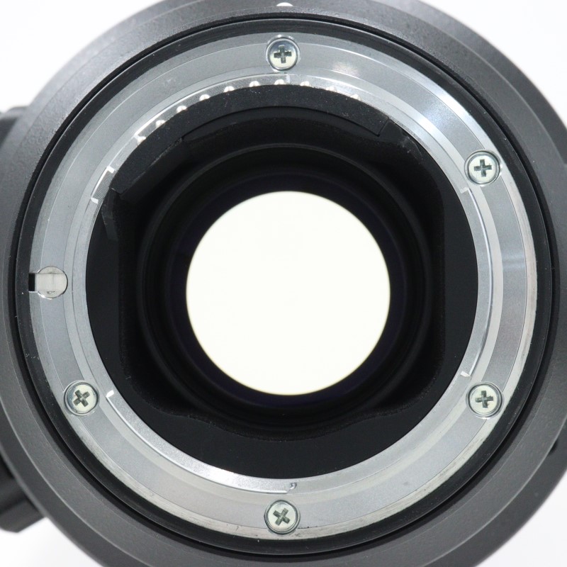 AF-S NIKKOR 120-300mm f/2.8E FL ED SR VR