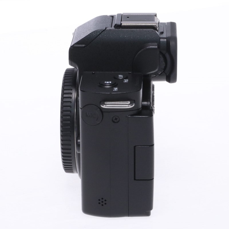 LUMIX G100 DC-G100 ボディ単体