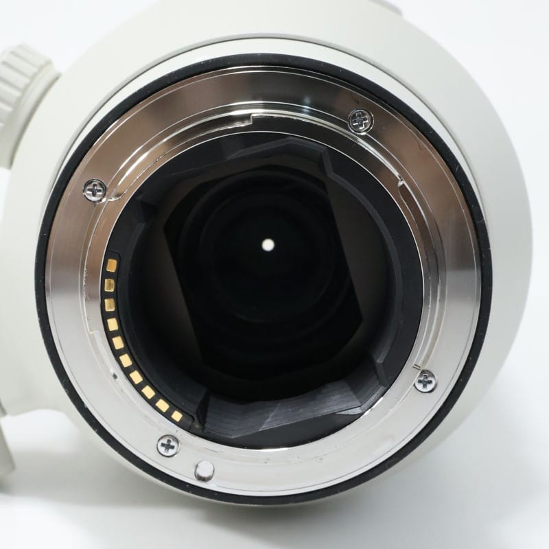 FE 100-400mm F4.5-5.6 GM OSS SEL100400GM