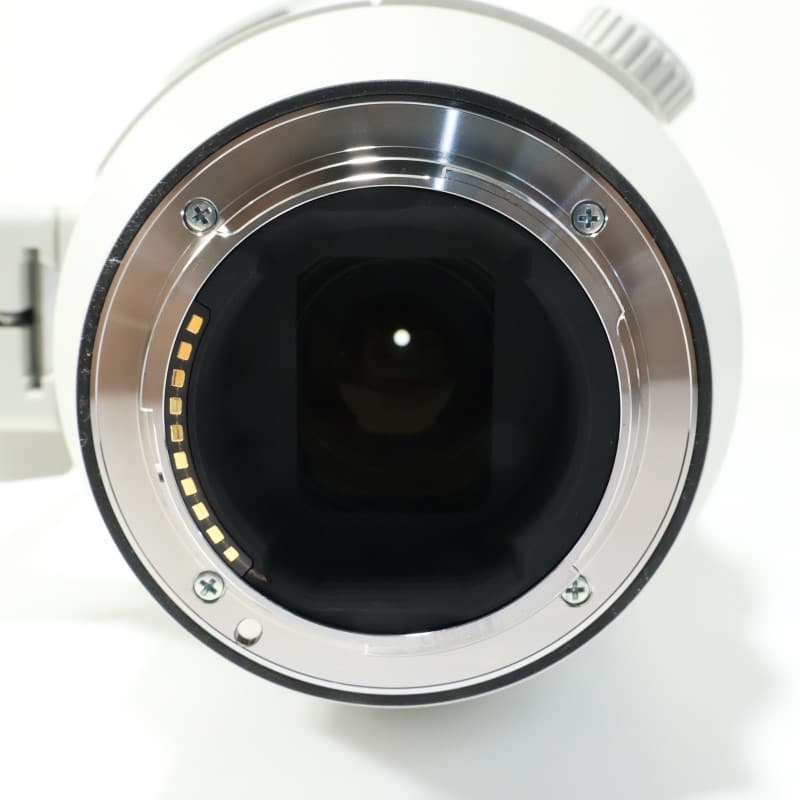 FE 200-600mm F5.6-6.3 G OSS SEL200600G