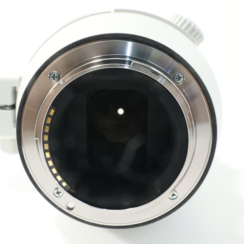FE 200-600mm F5.6-6.3 G OSS SEL200600G