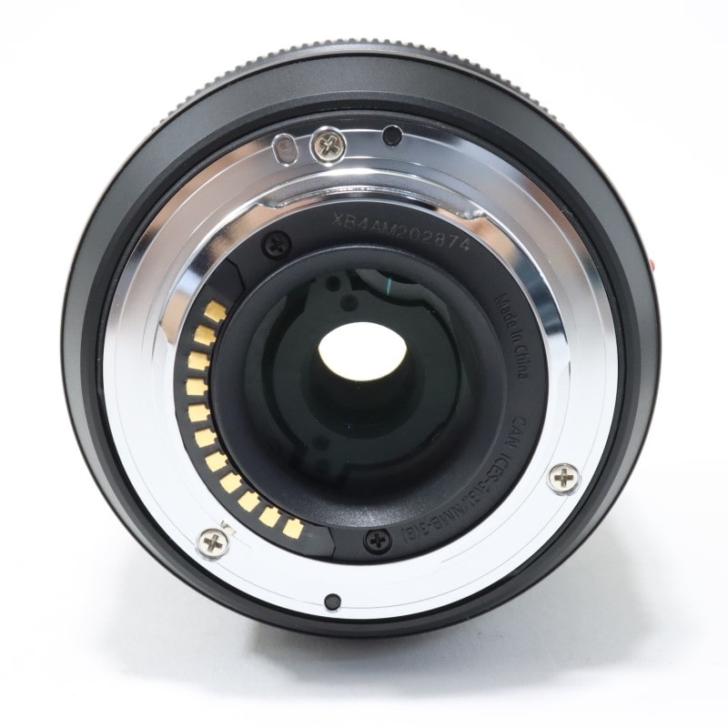 LUMIX G VARIO 12-60mm/F3.5-5.6 ASPH./POWER O.I.S. H-FS12060