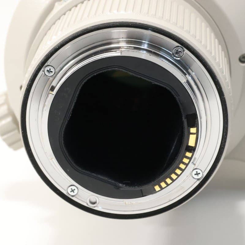 EF 500mm F4 L IS USM