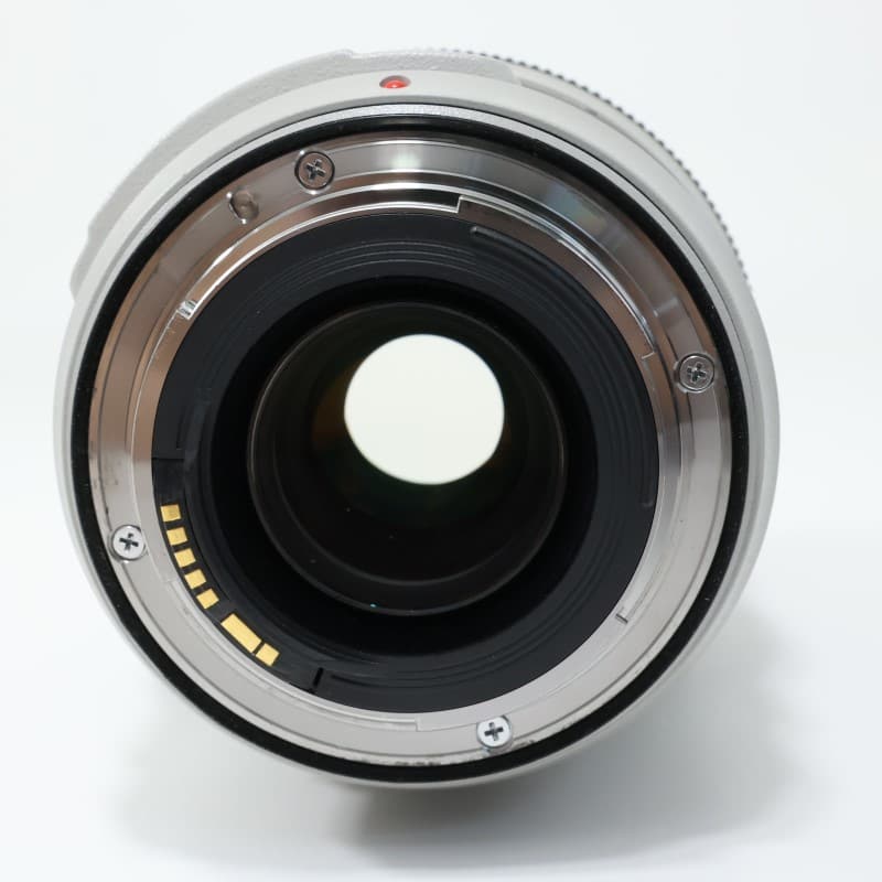 EF 70-300mm F4-5.6 L IS USM