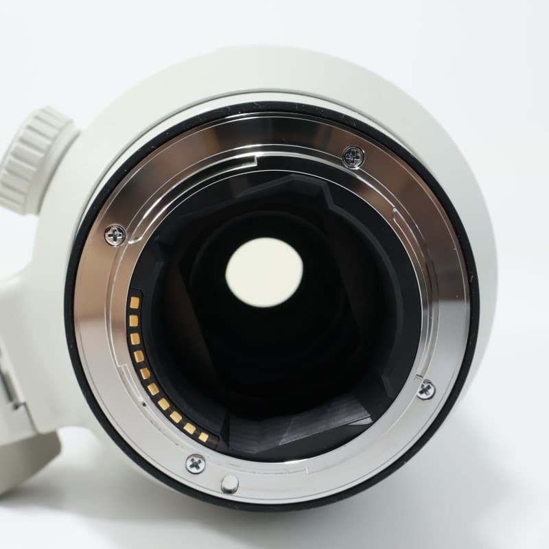 FE 100-400mm F4.5-5.6 GM OSS SEL100400GM