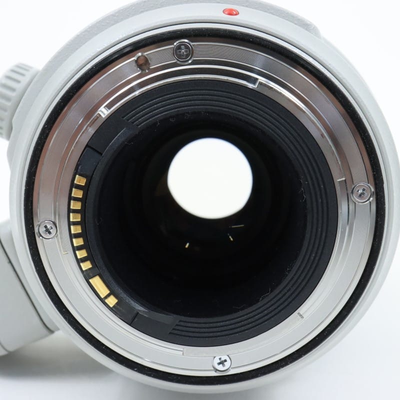 EF100-400mm F4.5-5.6L IS II USM