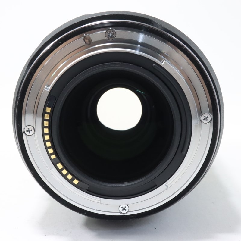 RF100mm F2.8 L MACRO IS USM