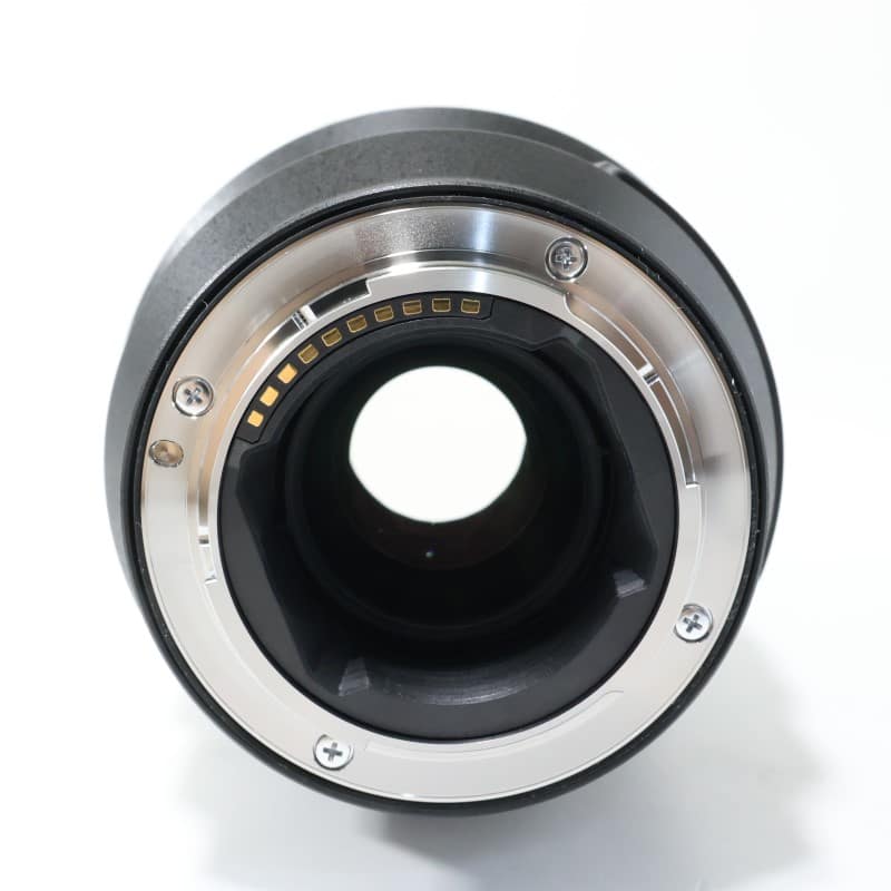 FE 100mm F2.8 Macro GM OSS SEL100M28GM