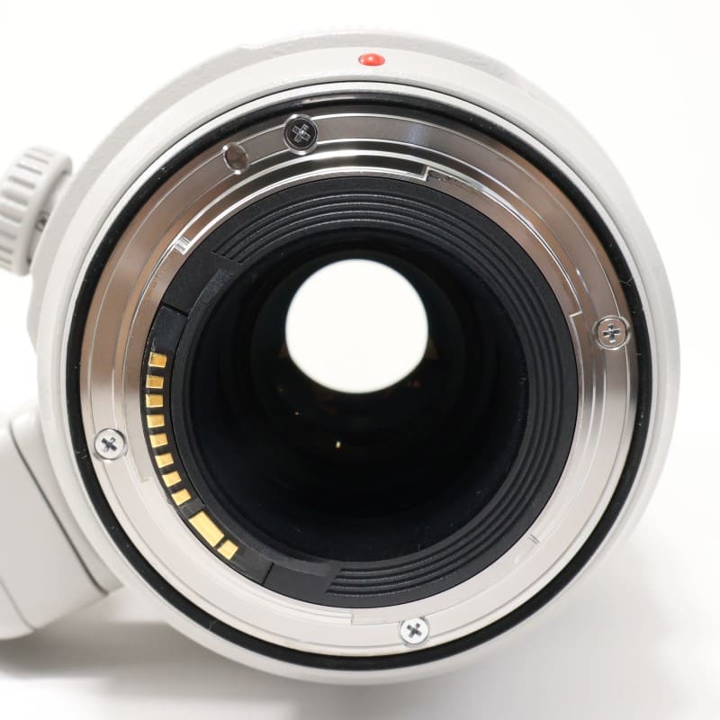 EF100-400mm F4.5-5.6L IS II USM