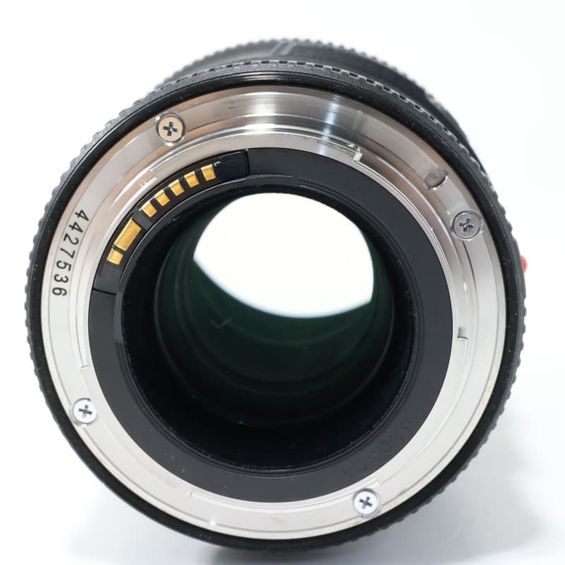 EF100mm F2.8Lマクロ IS USM