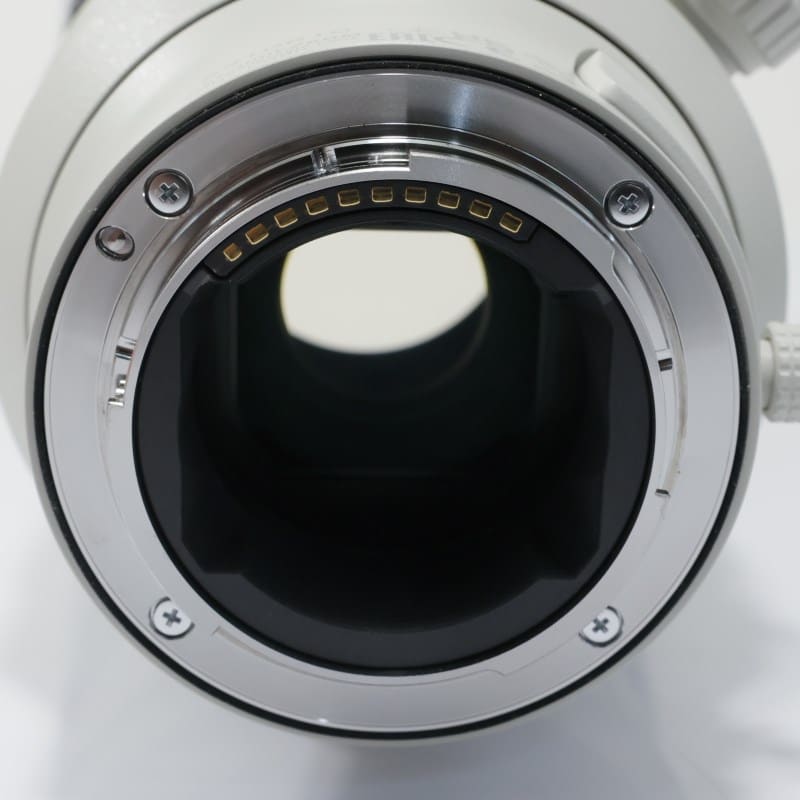 FE 300mm F2.8 GM OSS SEL300F28GM