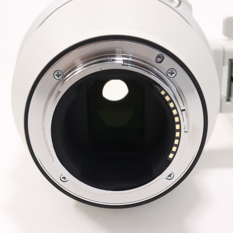 FE 200-600mm F5.6-6.3 G OSS SEL200600G