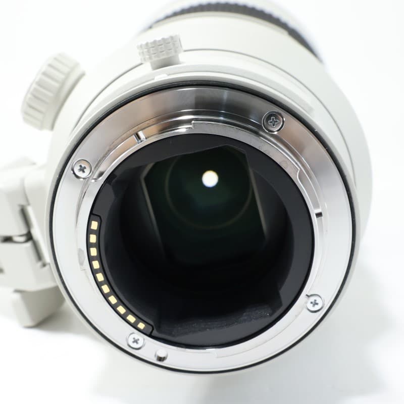 FE 300mm F2.8 GM OSS SEL300F28GM