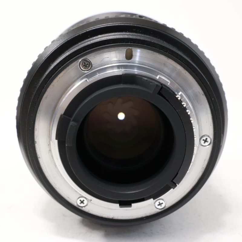 AF-S DX Zoom-Nikkor 17-55mm f/2.8G IF-ED