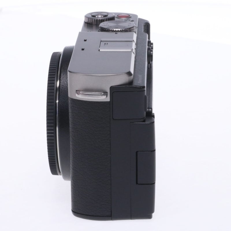 LUMIX S9 ボディ ダークシルバー DC-S9-S