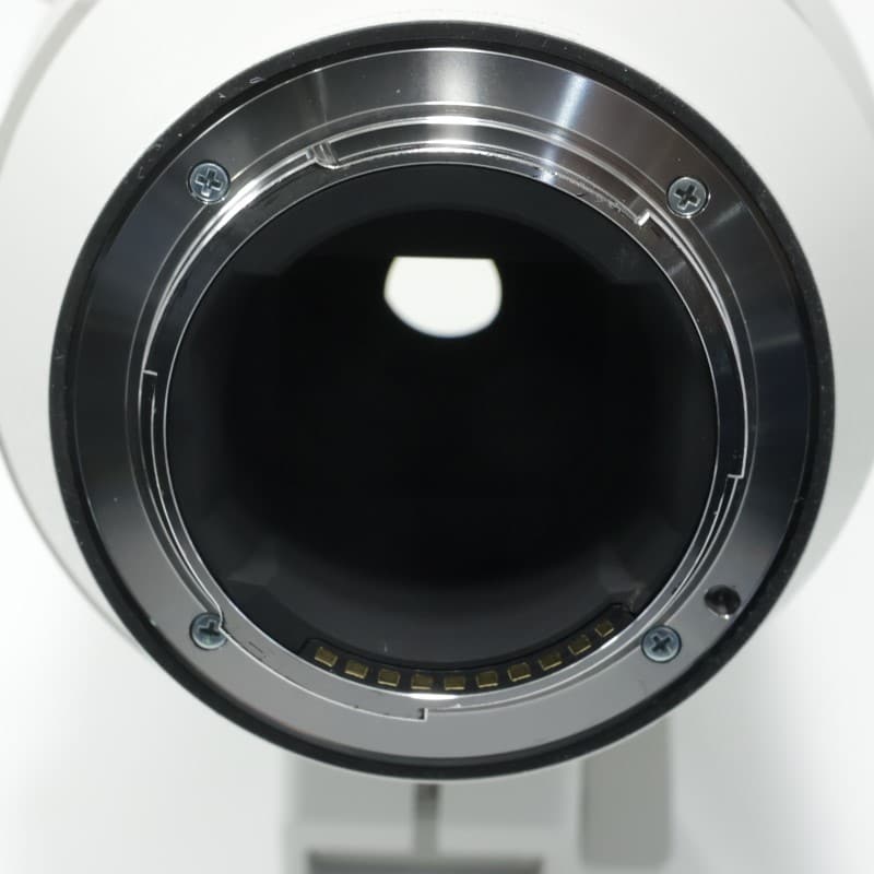 FE 200-600mm F5.6-6.3 G OSS SEL200600G