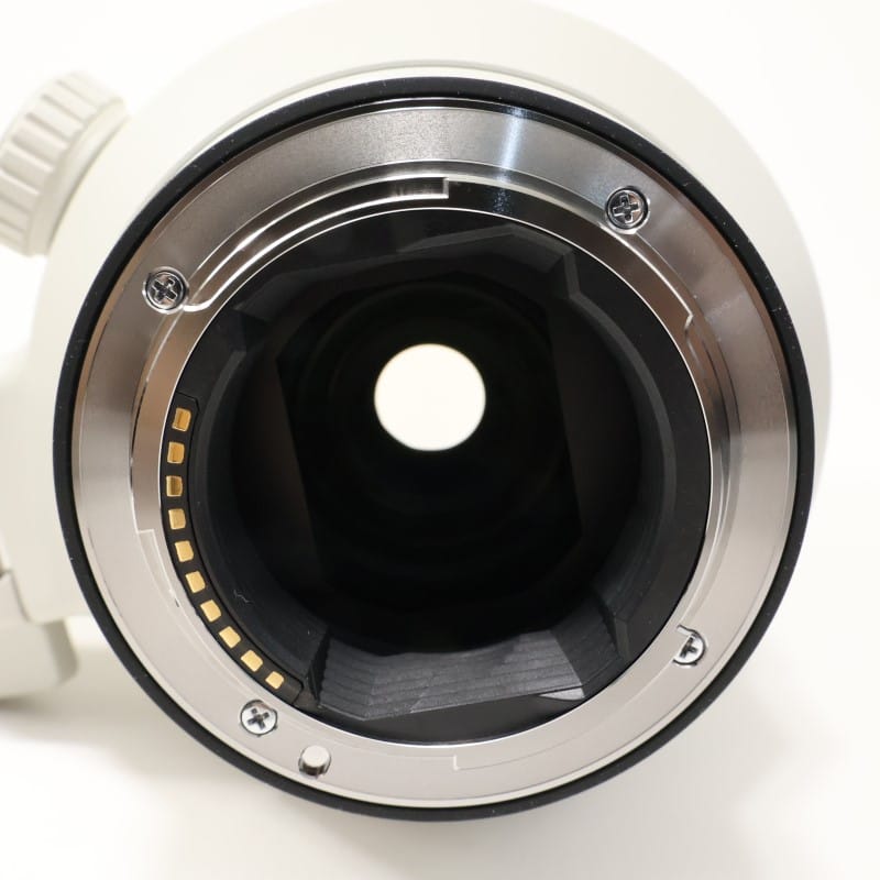 FE 100-400mm F4.5-5.6 GM OSS SEL100400GM
