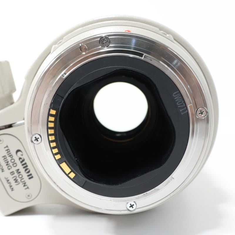 EF 300mm F4 L IS USM