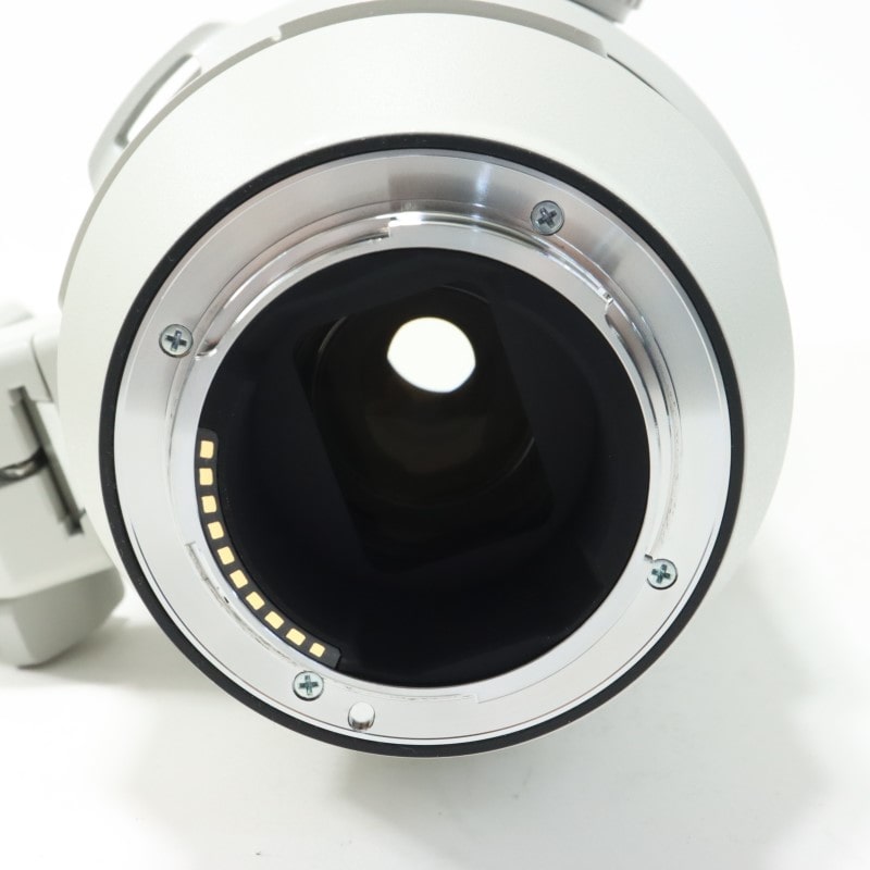 FE 200-600mm F5.6-6.3 G OSS SEL200600G