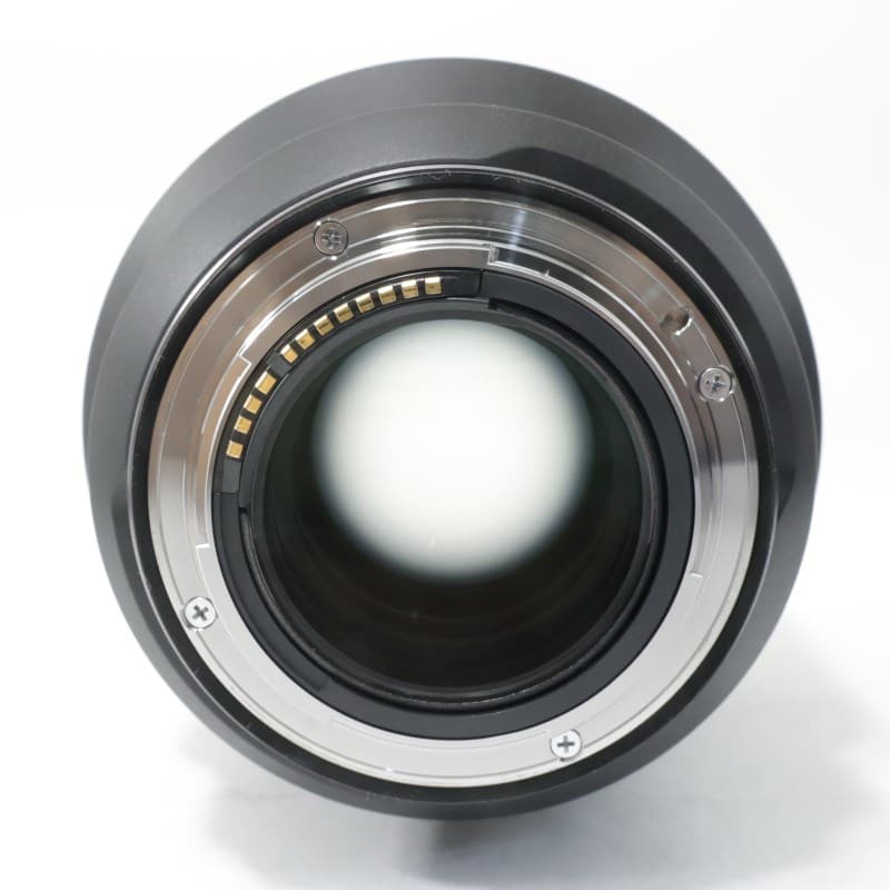 RF85mm F1.2 L USM DS