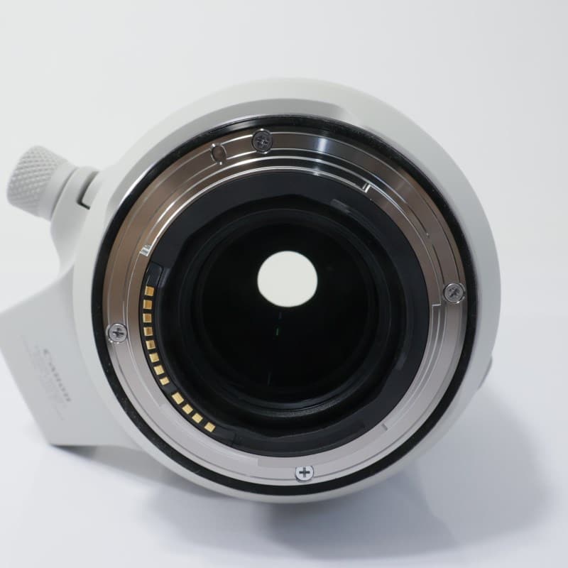RF100-500mm F4.5-7.1 L IS USM